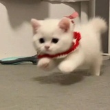 心想事成