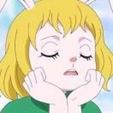 光月日和