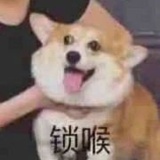 枢木润希的猫