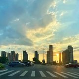 树洞