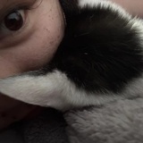 kksiqisjhx