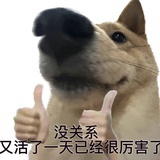 邓之之