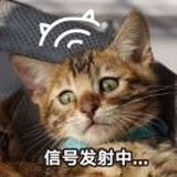 🐆网管🐈