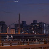 Notodayep