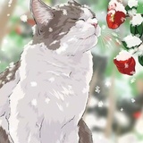 少目