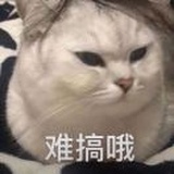 👄牛萌萌🙈在澳洲🇦