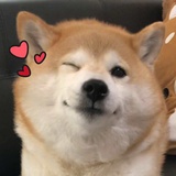 豆友208641125