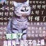 木小尘夕