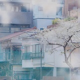 豆油