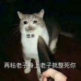 小可爱悠米