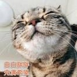 钅 讠