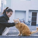 小花花