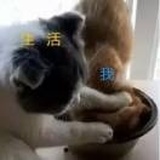 吃货本人