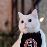 仙女梁
