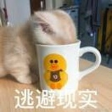 若水渽阜