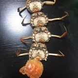 李大浪