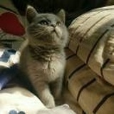 玄乙