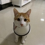 西瓜🍉