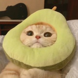 二兆呀