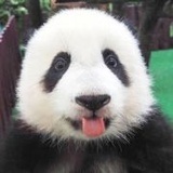 王xinyiyi