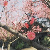 求一对一日语老师 希望老师也会一点英语 方便偶尔的交流和理解 小组讨论 豆瓣