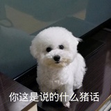 yy宝贝
