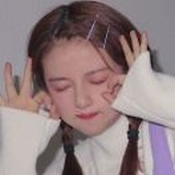 一只仙女