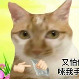 勾石品鉴大师