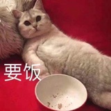 此生不再追选秀