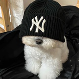 Bronson