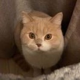 Mon