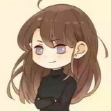 是秃头总会发光