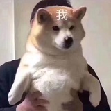 人间苦厄