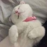 熹