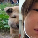 豆友208946905