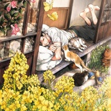 棠LOVE