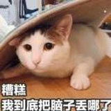 果冻