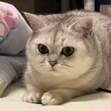 神秘网友小黄