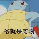 一只菠萝啊