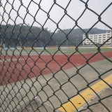 魂魂