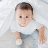 宇
