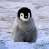 Antarctica