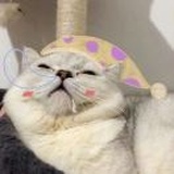 一夜間飛行一