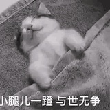 墨qιц禾リ