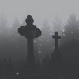 萨麦尔的蒲公英