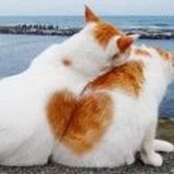 故渊