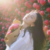 花心小萝卜豆
