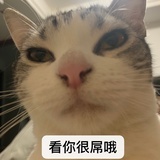 小仓あさひ