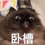 藤原清和