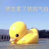 望京东社畜